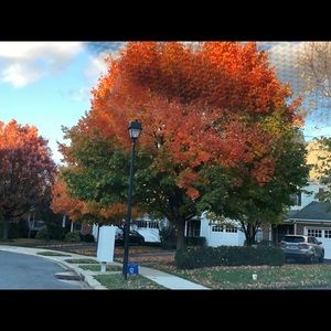 Meet your Posher, Paula